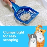 Fresh Step Advanced Multi Cat Clumping Litter with Febreze Freshness, Fresh Step Clumping Cat Litter Extra Strength Formula, 37 lbs. (2 x 18.5 lb. Box) - Image 6