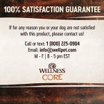 Wellness CORE+ Dry Dog Food with Freeze Dried Pieces, Grain Free, High Protein, Natural, Original Turkey & Chicken Recipe, (20-Pound Bag) - Image 2