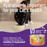 Wellness Complete Health Grilled, Adult Wet Cat Food, Natural, Protein-Rich, Grain-Free, Canned, 3 Ounce, 12 Pack, (Beef and Lamb Dinner Recipe) - Image 4