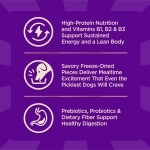 Wellness CORE+ Dry Dog Food with Freeze Dried Pieces, Grain Free, High Protein, Natural, Original Turkey & Chicken Recipe, (20-Pound Bag) - Image 6