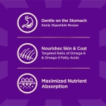 Wellness CORE+ Sensitive Skin & Stomach Dry Dog Food with Freeze Dried Pieces, Wholesome Grains, High Protein, Natural, Salmon & Rice Recipe, (4-Pound Bag) - Image 6