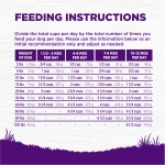 Wellness Complete Health Dry Puppy Food, Chicken, Salmon & Oatmeal, 15-Pound Bag - Image 3