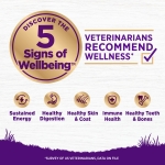 Wellness Complete Health Dry Puppy Food, Chicken, Salmon & Oatmeal, 15-Pound Bag - Image 9