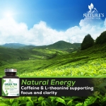 Green Tea Extract Capsules 1000mg 98% Standardized EGCG - 3X Strength for Natural Energy - Heart Support with Polyphenols - Gentle Caffeine - 240 Capsules - Image 4