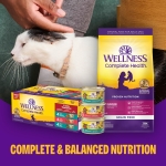 Wellness Complete Health Grilled, Adult Wet Cat Food, Natural, Protein-Rich, Grain-Free, Canned, 3 Ounce, 12 Pack, (Tuna, Mackerel & Shrimp Entrée Recipe) - Image 2