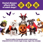 Wellness WHIMZEES Fall Dog Dental Treats, Autumn Natural Chews for Dogs, Small Size Stick, (12 Count) - Image 6