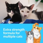 Fresh Step Advanced Multi Cat Clumping Litter with Febreze Freshness, Fresh Step Clumping Cat Litter Extra Strength Formula, 37 lbs. (2 x 18.5 lb. Box) - Image 13